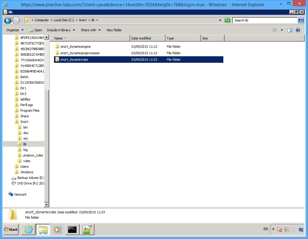 Practice Labs screenshot.